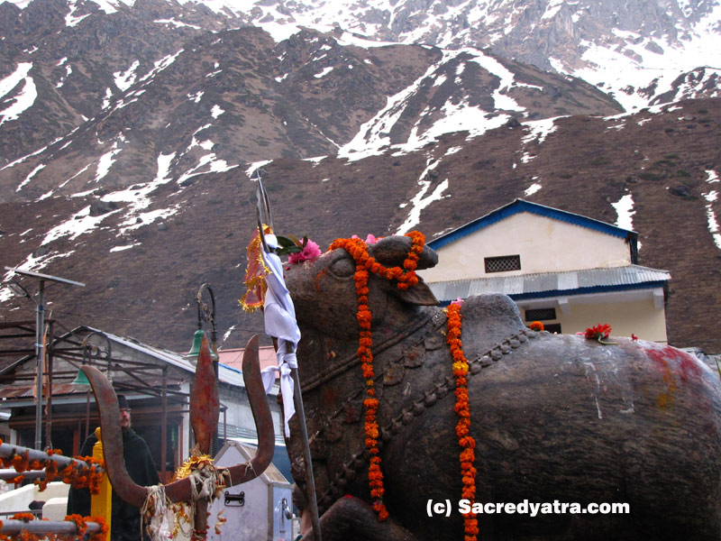 Nandi in front of Kedarnath Temple