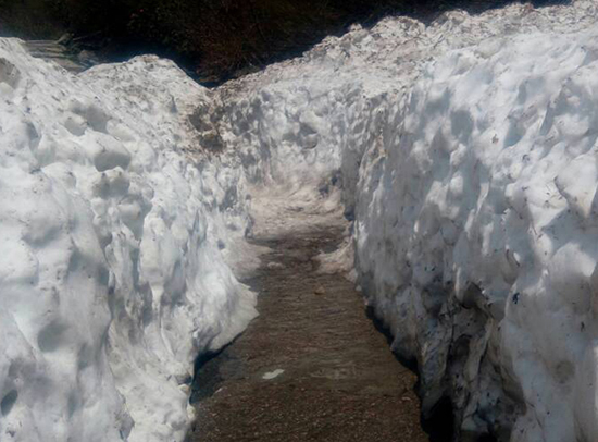 Route between glacier at Hemkund Sahib