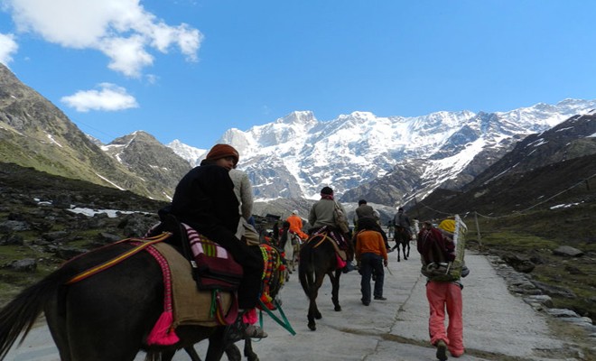 40 thousand pilgrims visit Kedarnath Dham