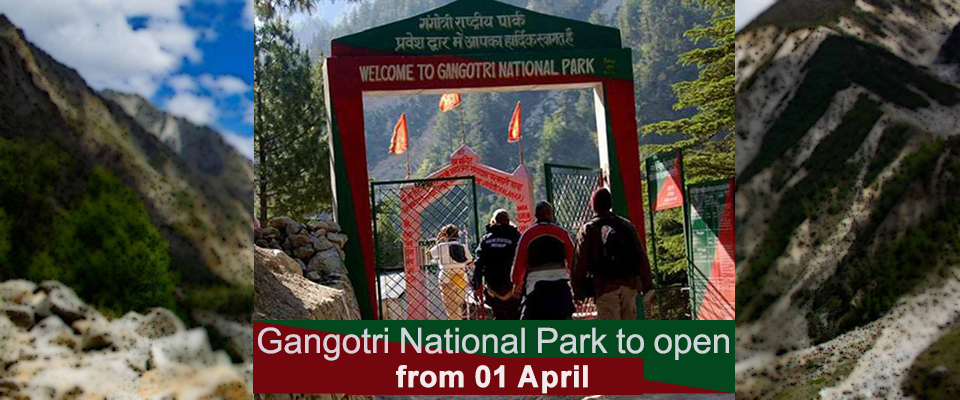 Gangotri National Park Opening Date