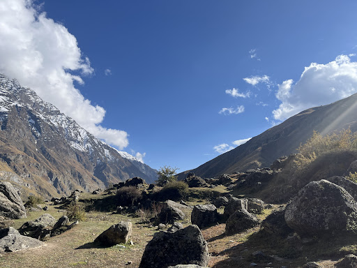 Photo from customer review