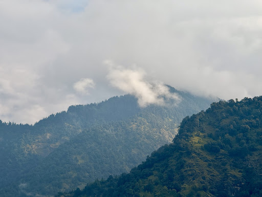 Photo from customer review