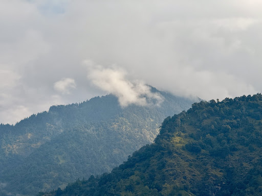 Photo from customer review