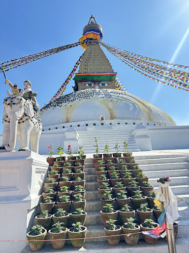 Photo from customer review