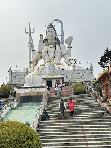 Photo from customer review